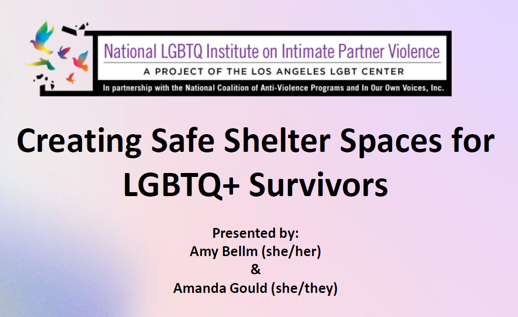 creating safe shelter spaces for lgbtq surivors training